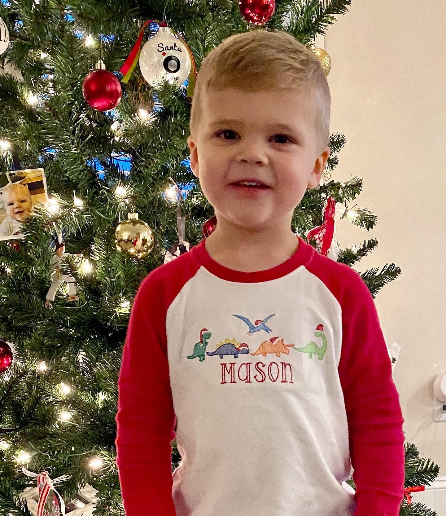 Santa Hat Dino Tee