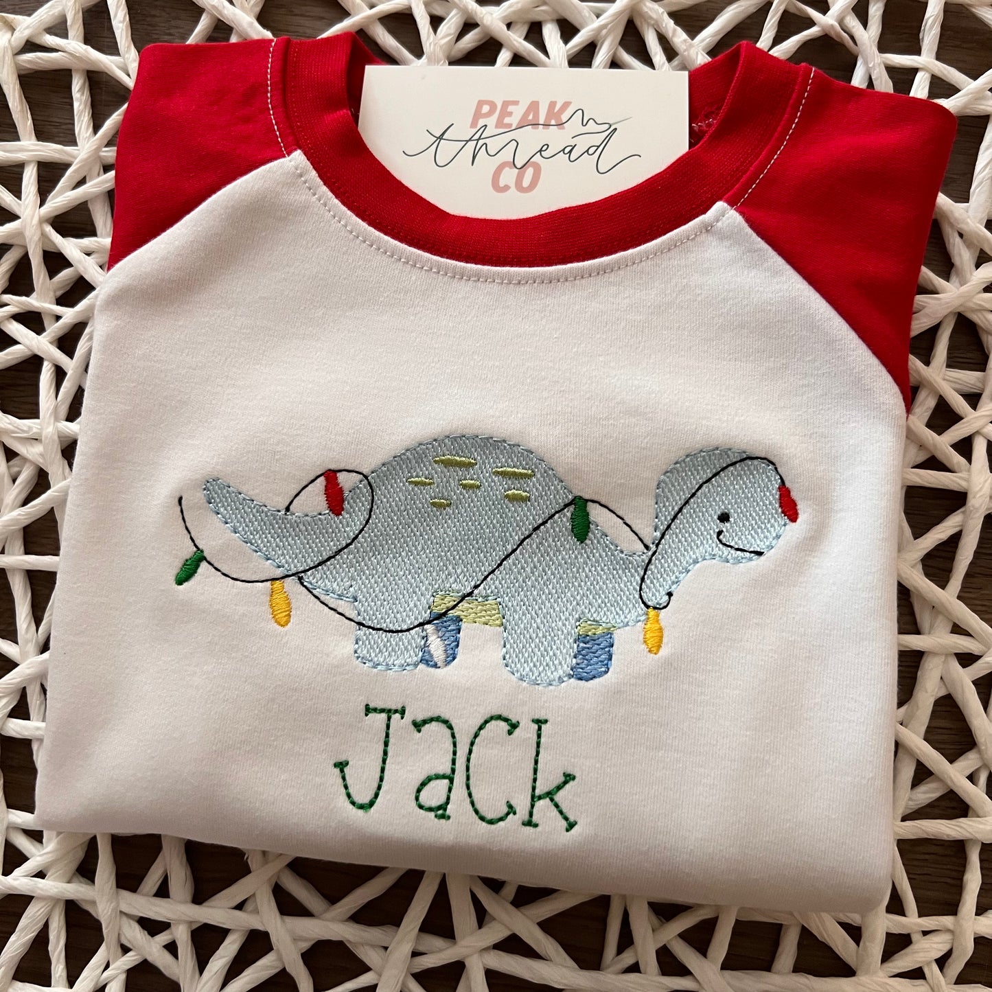 Christmas Light Dino Tee