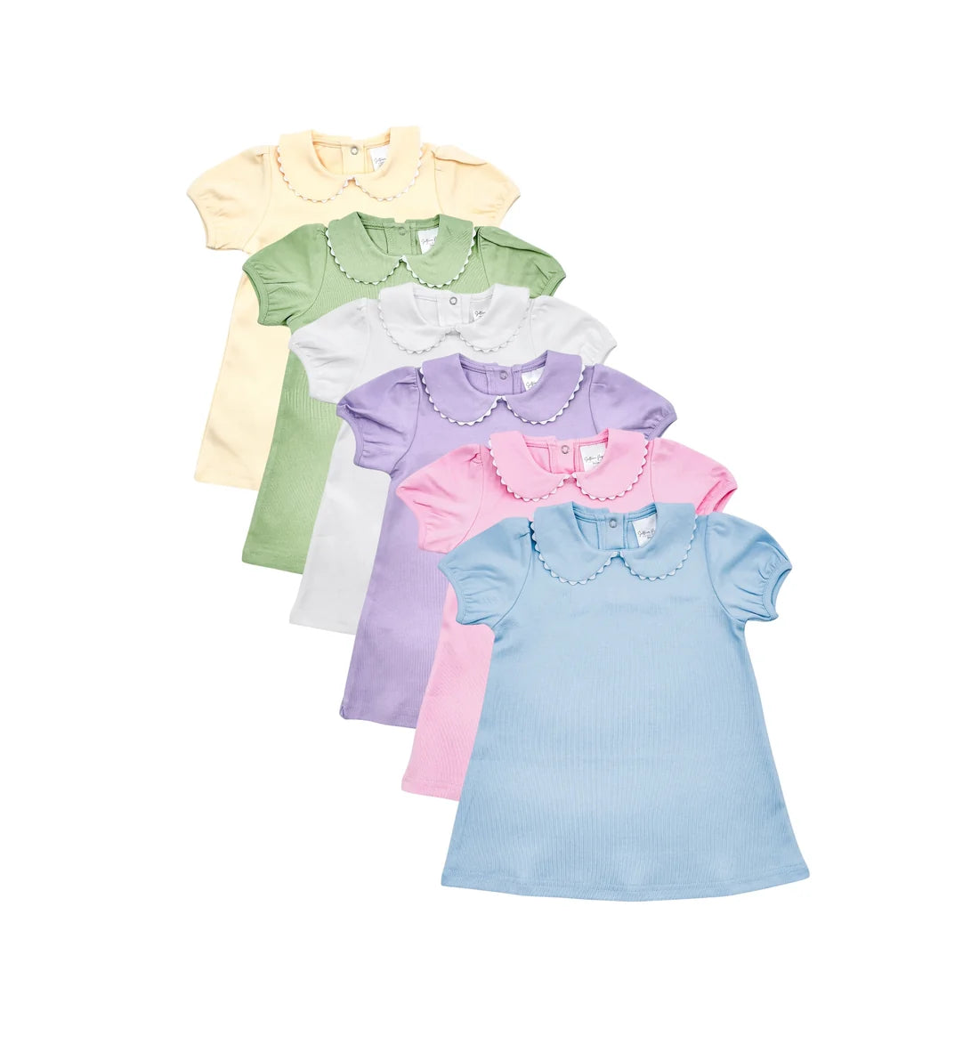Short Sleeve Scalloped Collar Dress