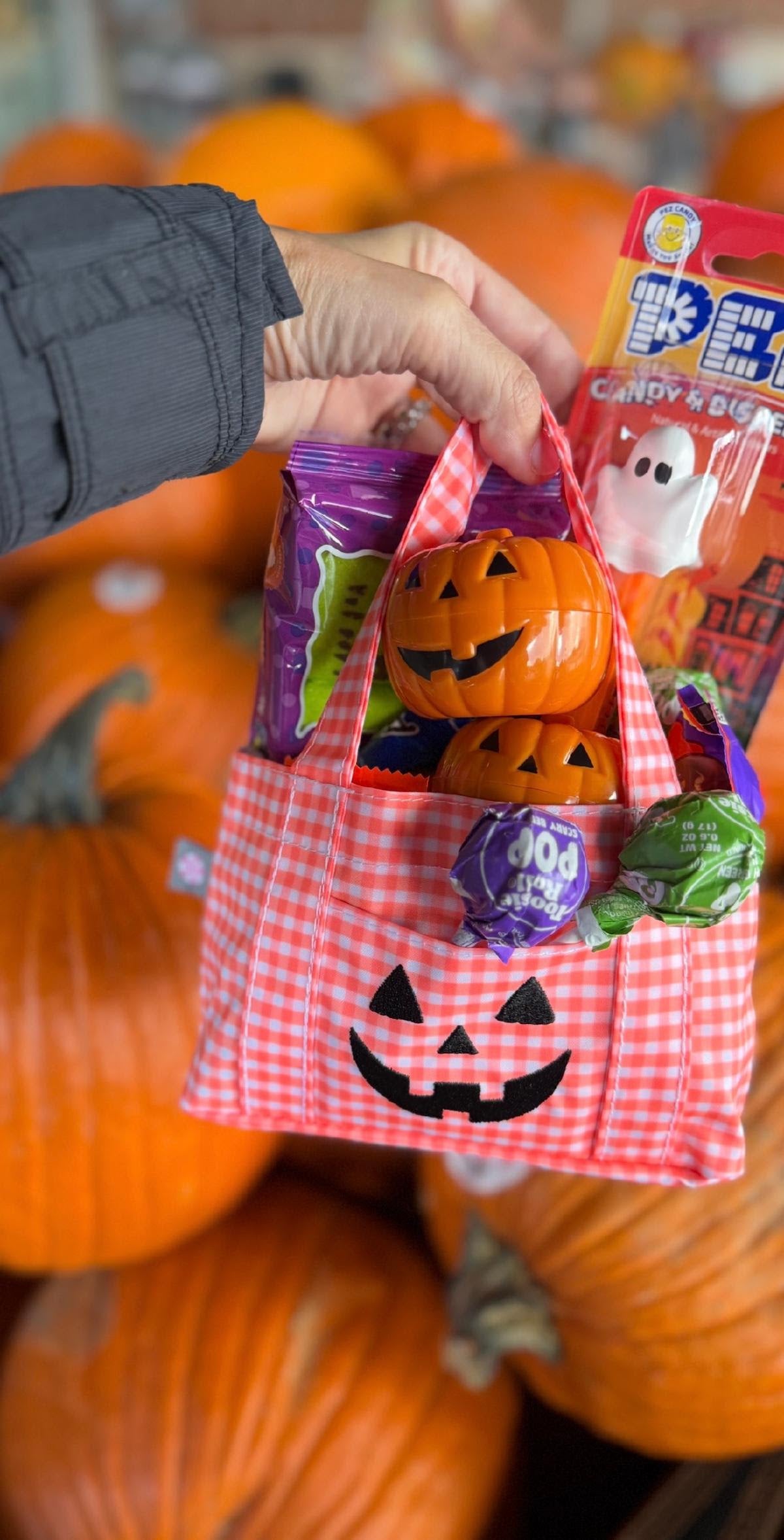 Trick or Treat Collection